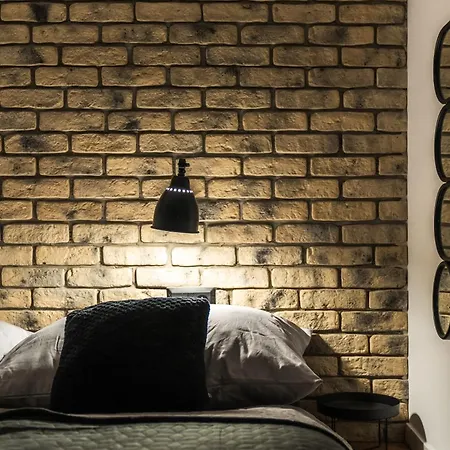 Designer Loft - Modern & Chic ברטיסלאבה